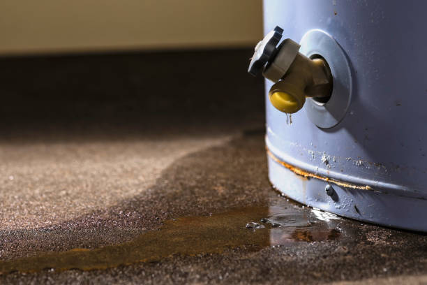 Water damage restoration experts in MS