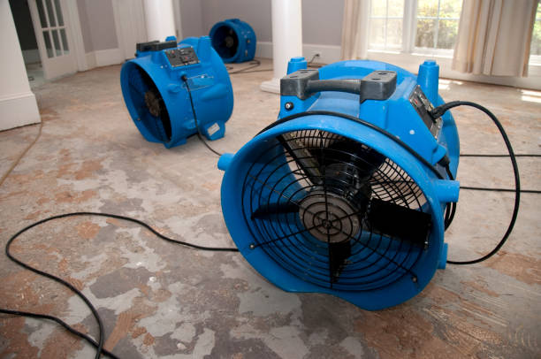Best Professional water damage repair  in Port Gibson, MS